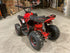 MINI QUAD RENEGADE 50cc per bambini