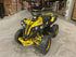MINI QUAD RENEGADE 50cc per bambini