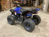 MINI QUAD RENEGADE 50cc per bambini