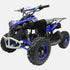 MINI QUAD RENEGADE 50cc per bambini