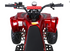 Quad 125cc ruota 8 pollici 4 tempi