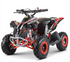 Mini quad CANADA bambino 50cc per bambini