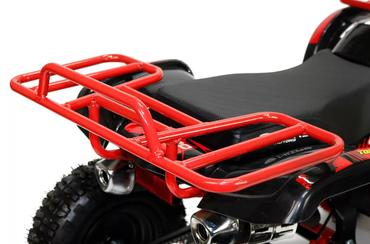 MINI QUAD 49CC BENZINA MINI QUAD PER BAMBINI