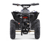 Mini quad elettrico 1000 W e 48 V, Atv (veicolo per tutti i terreni), per bambini.