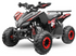 MINI QUAD 125 cc 8 pollici con marce automatiche  IN OFFERTA