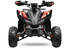 MINI QUAD 125 cc 8 pollici con marce automatiche  IN OFFERTA