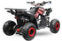MINI QUAD 125 cc 8 pollici con marce automatiche  IN OFFERTA