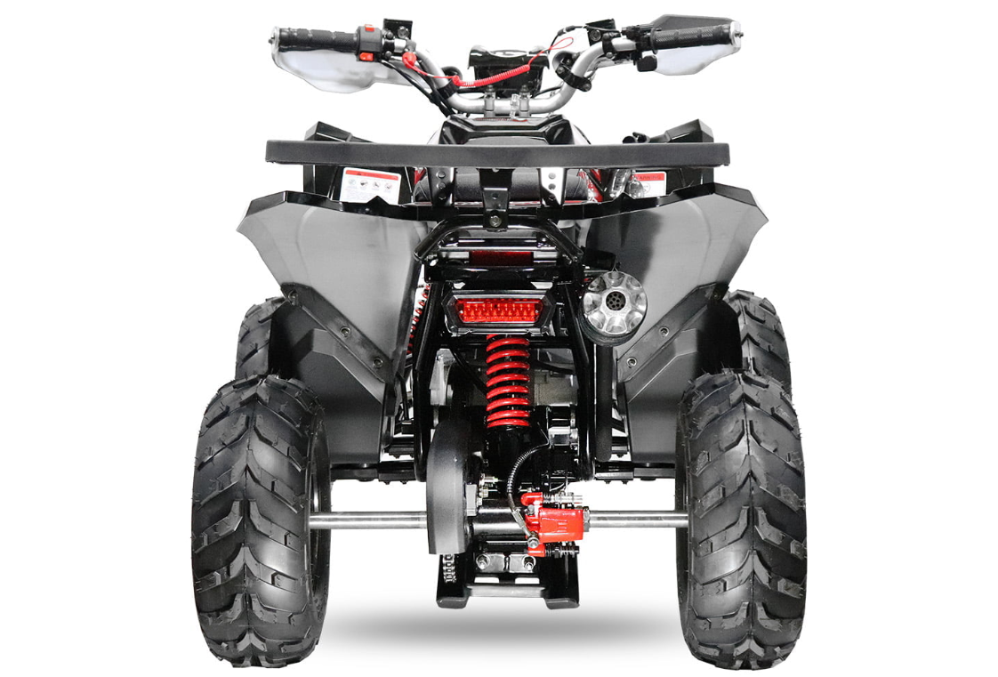 MINI QUAD 125 cc 8 pollici con marce automatiche  IN OFFERTA