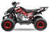 MINI QUAD 125 cc 8 pollici con marce automatiche  IN OFFERTA
