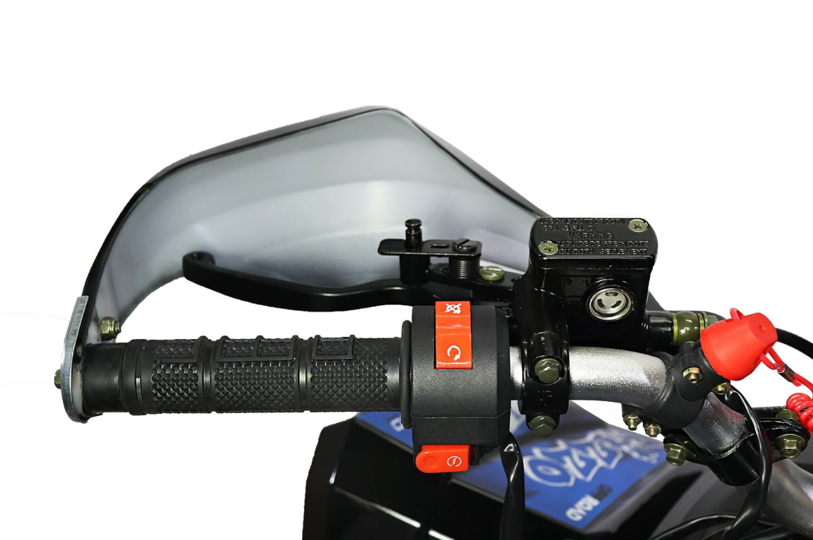 MINI QUAD 125 cc 8 pollici con marce automatiche  IN OFFERTA