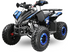 MINI QUAD 125 cc 8 pollici con marce automatiche  IN OFFERTA