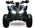 MINI QUAD 125 cc 8 pollici con marce automatiche  IN OFFERTA
