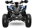 MINI QUAD 125 cc 8 pollici con marce automatiche  IN OFFERTA