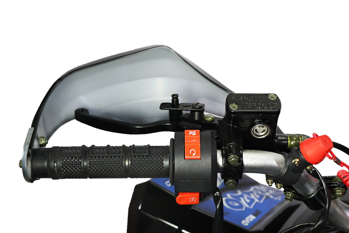 MINI QUAD 125 cc 8 pollici con marce automatiche  IN OFFERTA