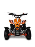 Mini quad 50cc 2T miscela al 2%  Regolatore di velocità