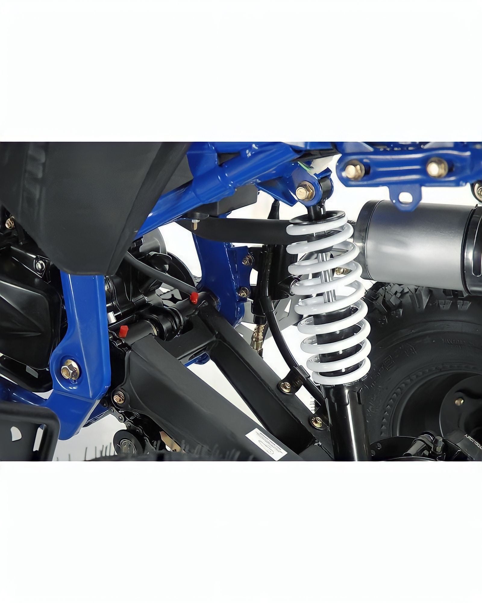 Quad 125cc Falcon  Carburatore PZ22  Semiautomatico 1 + R  Ruote 8" pollici