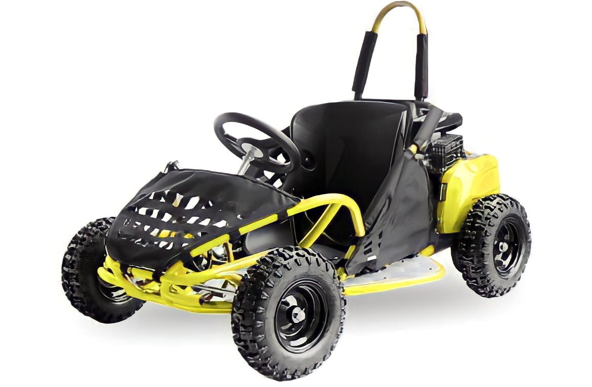 Mini Buggy a benzina da 50 cc ha freni a disco