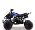 Quad 125cc  Ruota 8\\" Avviamento elettrico  3 marce + retro senza frizione