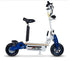 MONOPATTINO - SCOOTER ELETTRICO 1000 WATT 36V