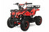 MINI QUAD 49CC BENZINA MINI QUAD PER BAMBINI