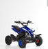 Mini quad 50cc 2T miscela al 2%  Regolatore di velocità