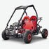 buggy per bambini e adulti 125 cc