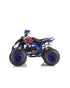 Quad 125cc Falcon  Carburatore PZ22  Semiautomatico 1 + R  Ruote 8" pollici