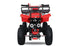 MINI QUAD 49CC BENZINA MINI QUAD PER BAMBINI